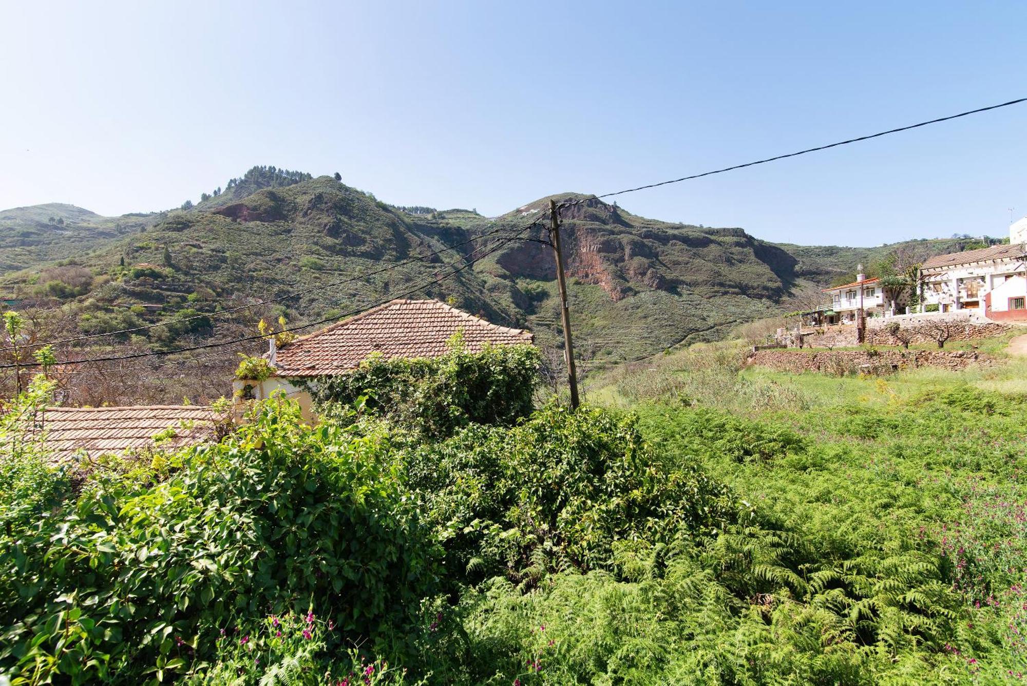 Villa Alma Vega de San Mateo Εξωτερικό φωτογραφία